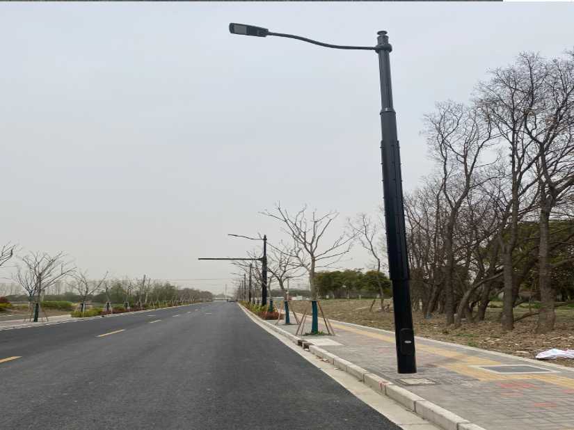 德庆县上海综合杆 太阳能路灯工程